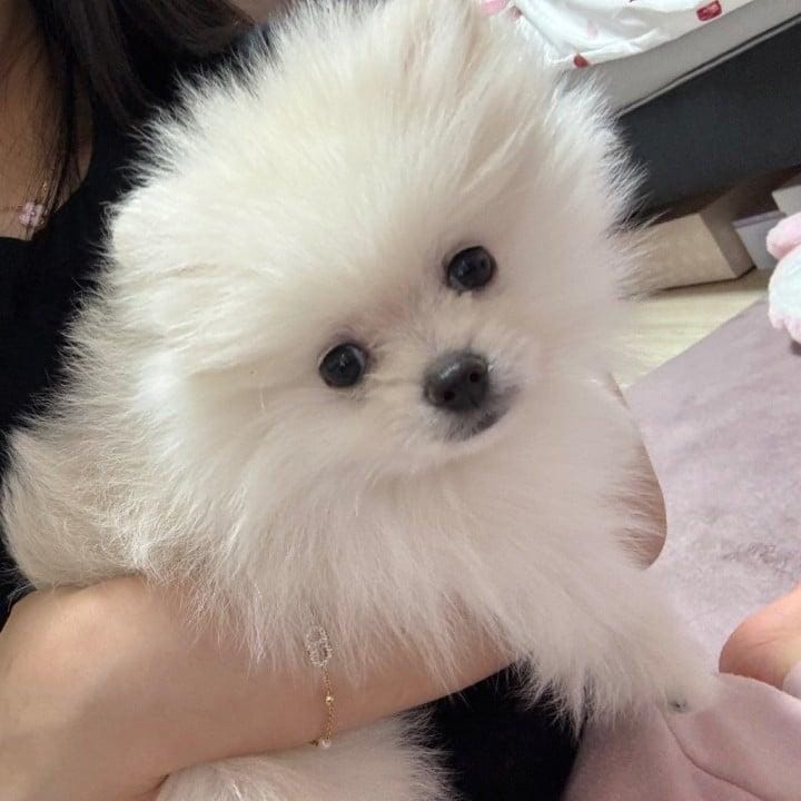 「7日から」06/05(金) 21:48 | めろの写メ日記