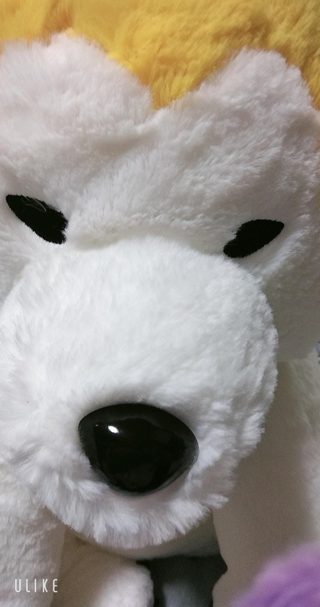 「こんにちわ」06/06(土) 19:52 | まりんの写メ