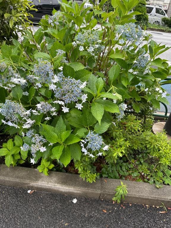 「明日」06/08(月) 13:28 | ゆかりの写メ