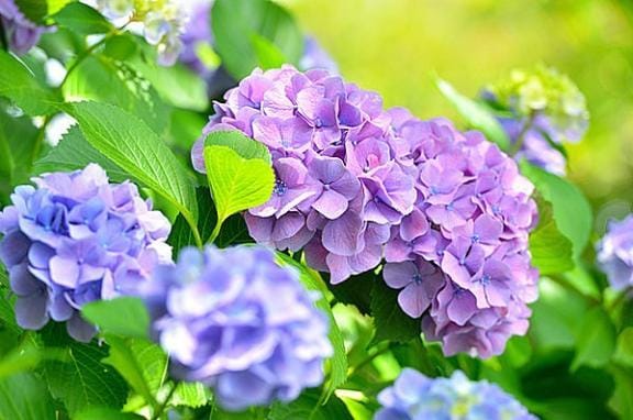 「お知らせ」06/13(土) 10:47 | りかこの写メ