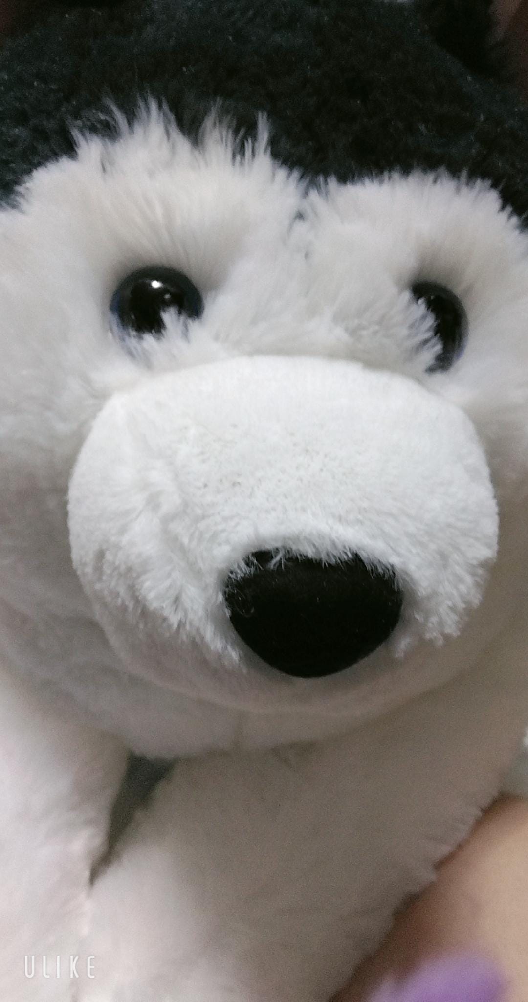 「こんにちわ」06/13(土) 20:57 | まりんの写メ