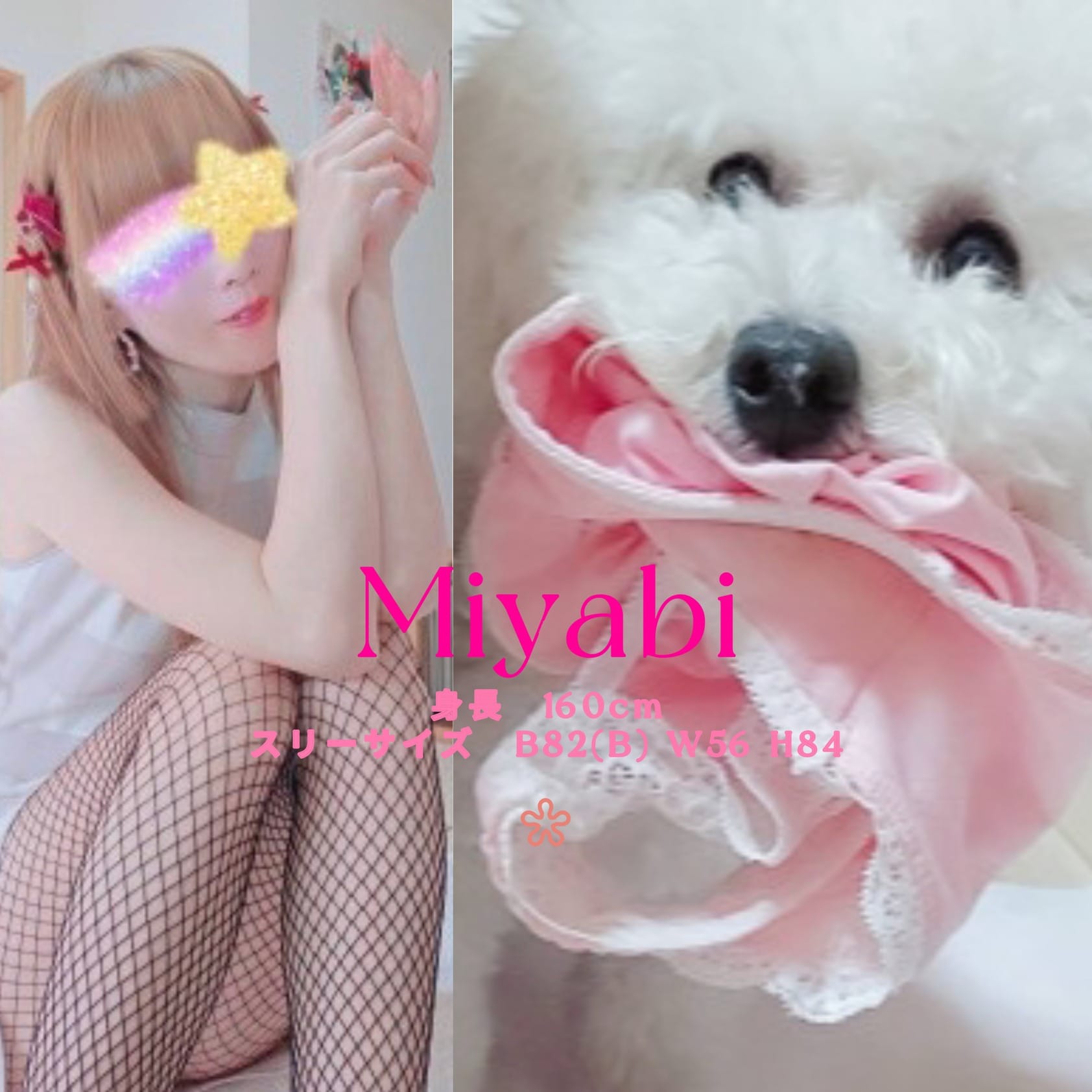 「初心者マークなM男君は みやびにお任せ♡」06/14(日) 21:35 | みやびの写メ