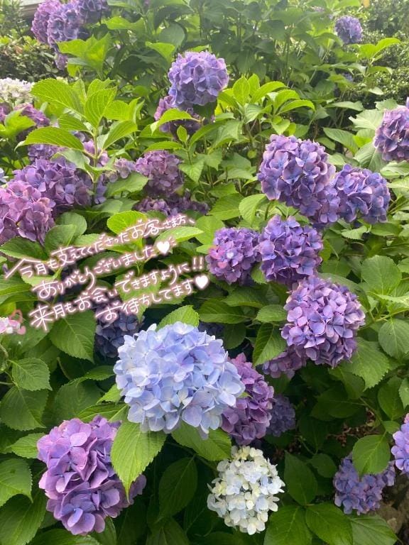 「完売♡癒しあいしよっ？‪‪❤︎‬」06/30(火) 13:41 | ゆいの写メ