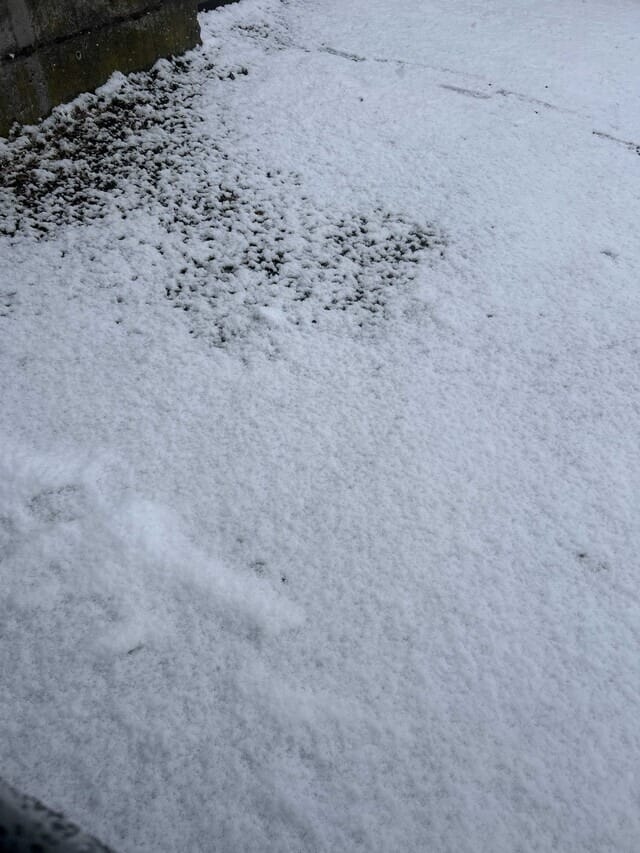 怖かった