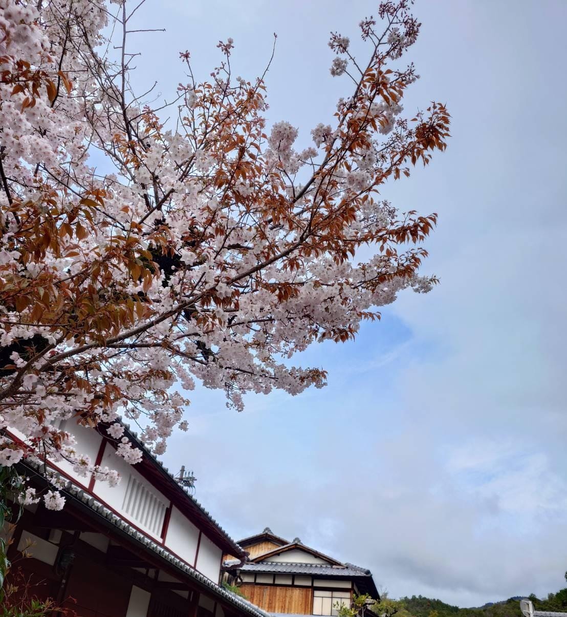 「今夜もご予約ありがとうございます！」07/12(日) 01:33 | はるなの写メ
