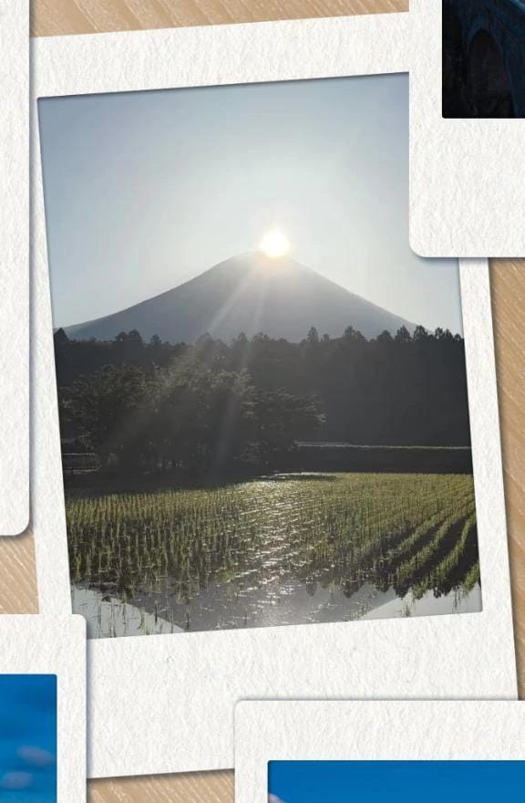 おはようございます☀️