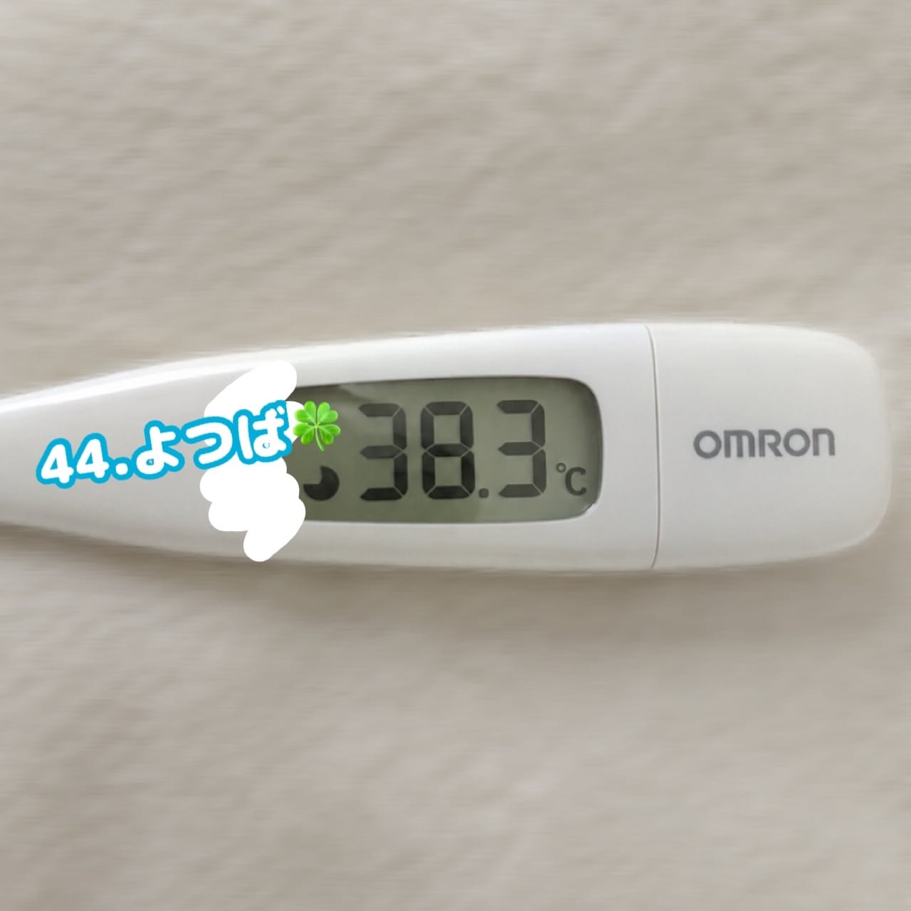 「」07/12(日) 11:22 | No.44:四葉の写メ