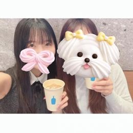 こんにちわ