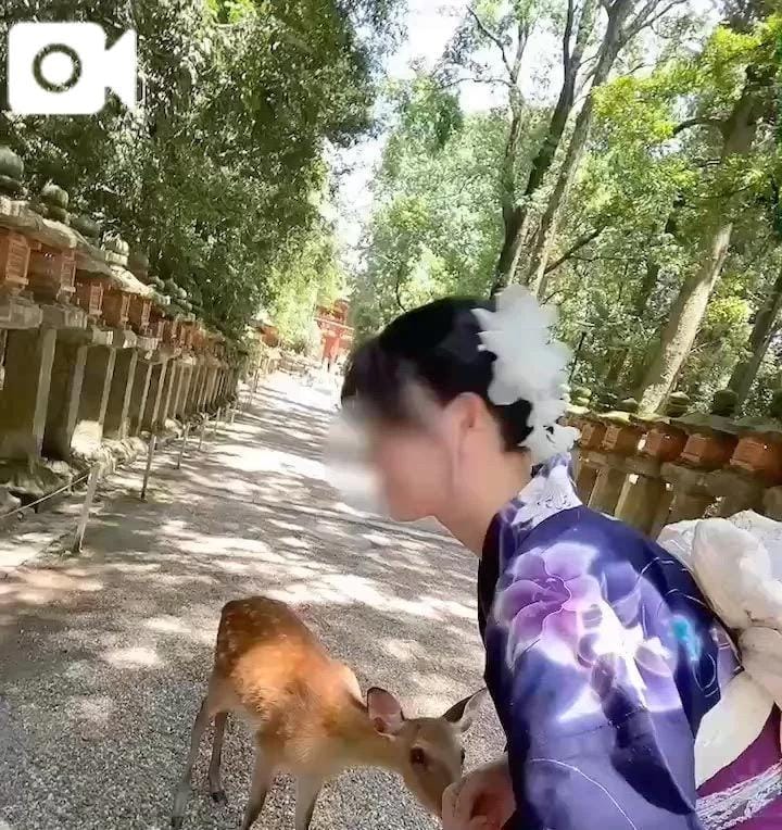 「初めてのお兄様へ」07/14(火) 17:54 | いずみの写メ