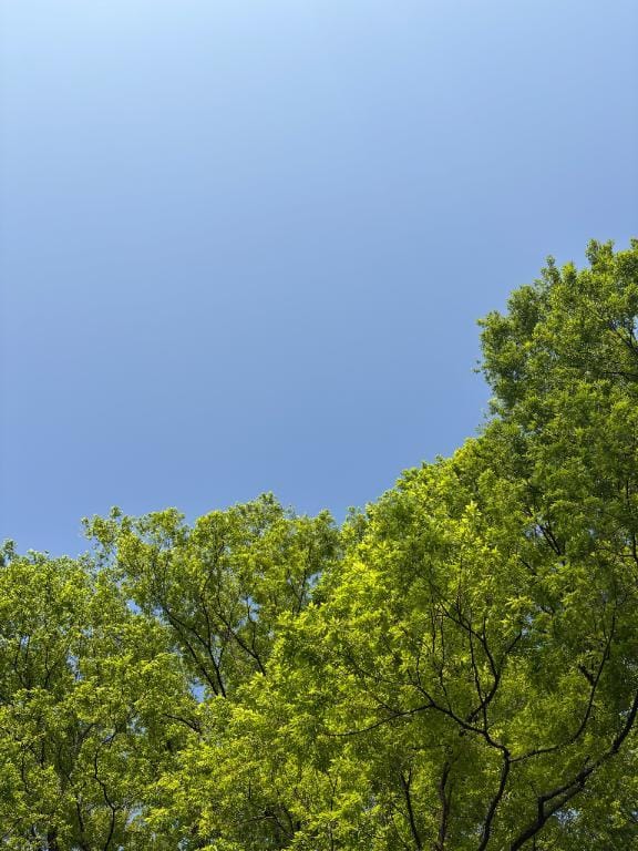 暑い！