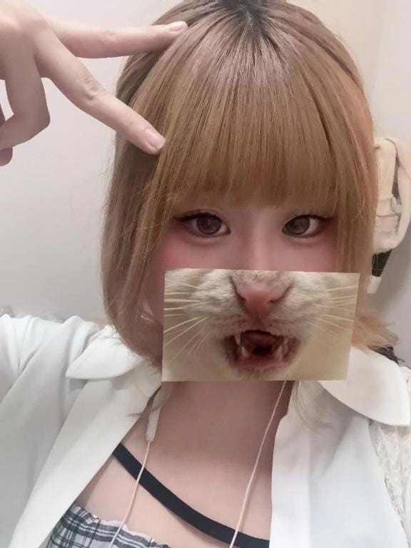 出勤！