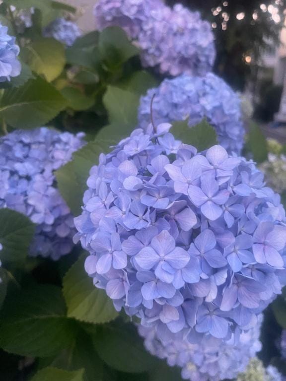☁️温かい言葉を☁️