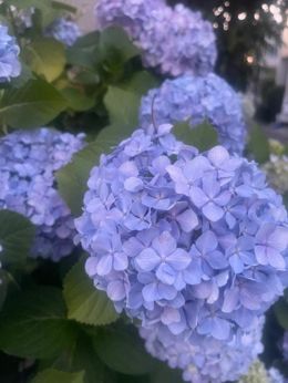 ☁️温かい言葉を☁️