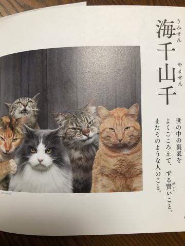 心の栄養補給