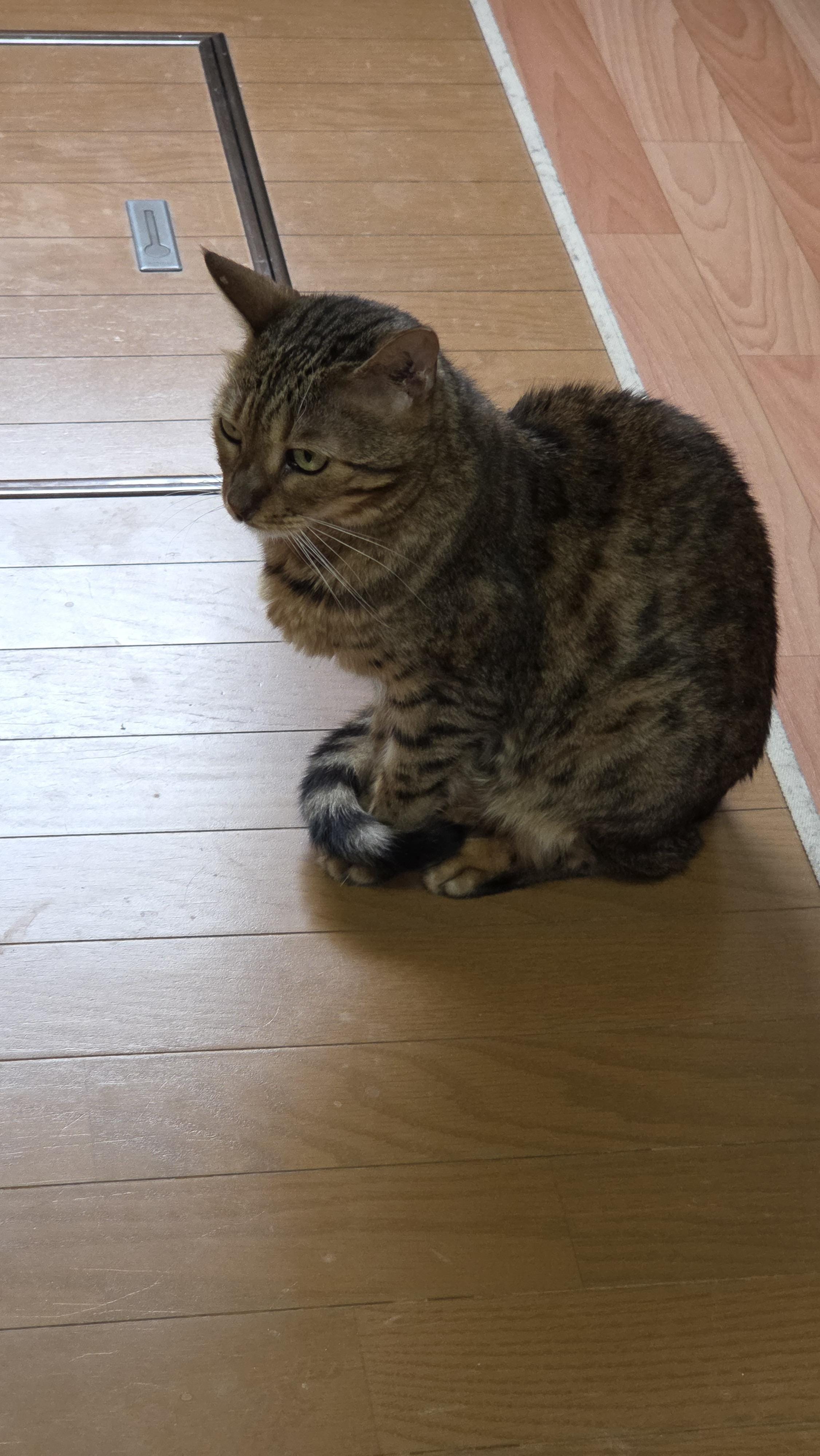 「実家＼(^-^)／」07/18(土) 21:10 | もかの写メ