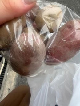 こんばんは