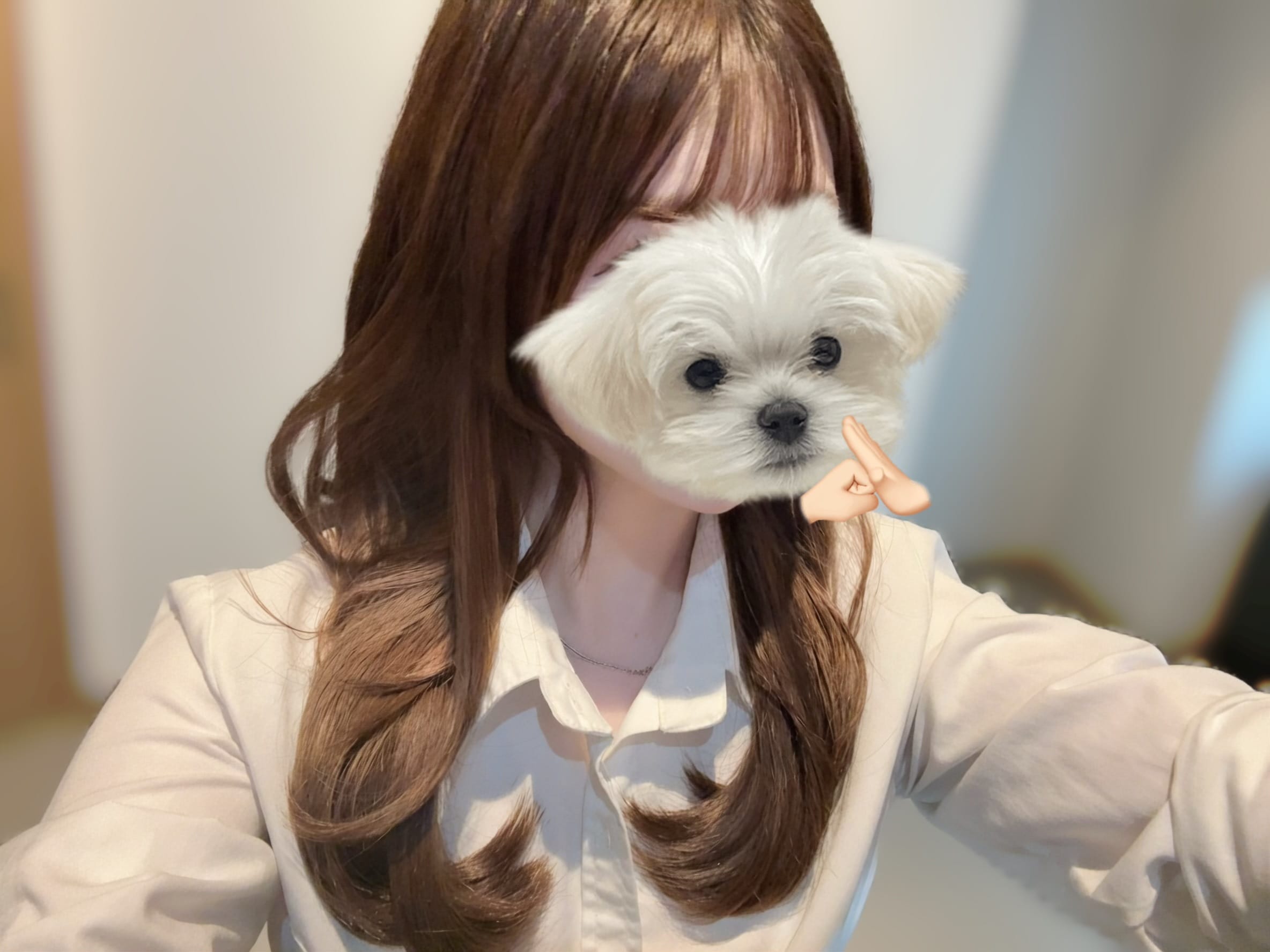 キュートなキューたい