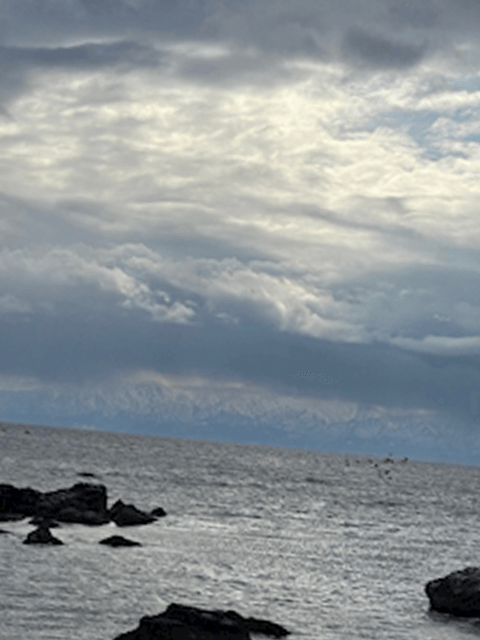 海鮮大好き