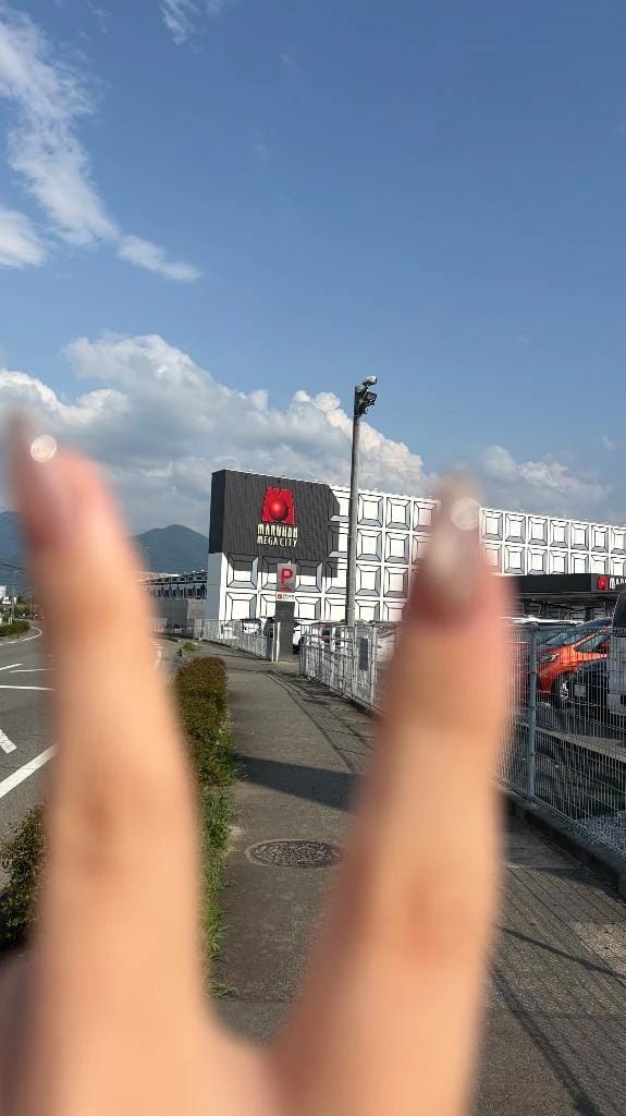 念願の