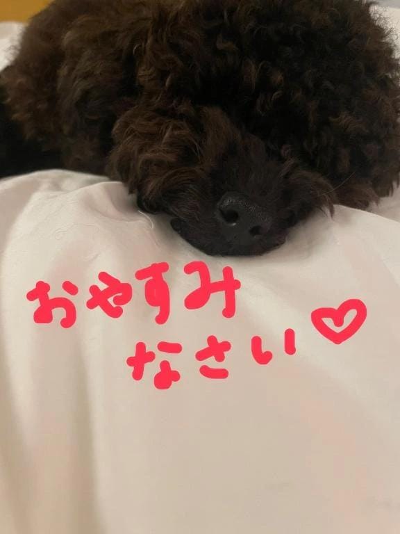ありがとうございます♡