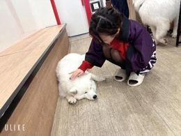 おやすみ