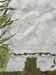 image3.jpeg