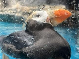 「疲れたぁ〜(*ﾉω