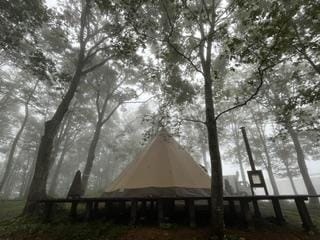 「夢」08/04(火) 07:03 | 淡海の写メ