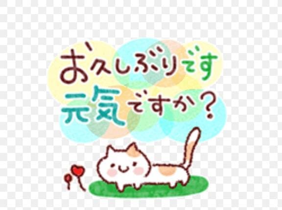「こんばんはぁ✨」08/06(木) 18:59 | あおいの写メ
