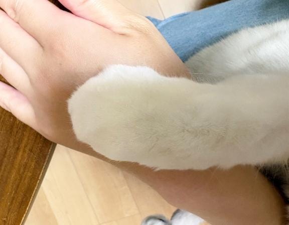 あかり「ちょっと面白い話♡」08/08(土) 23:52 | あかりの写メ