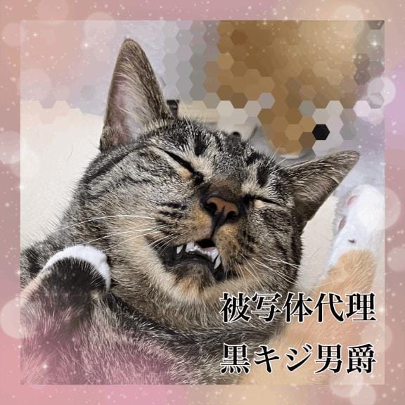 しおり「お盆休みごめん日記」08/10(月) 23:08 | しおりの写メ