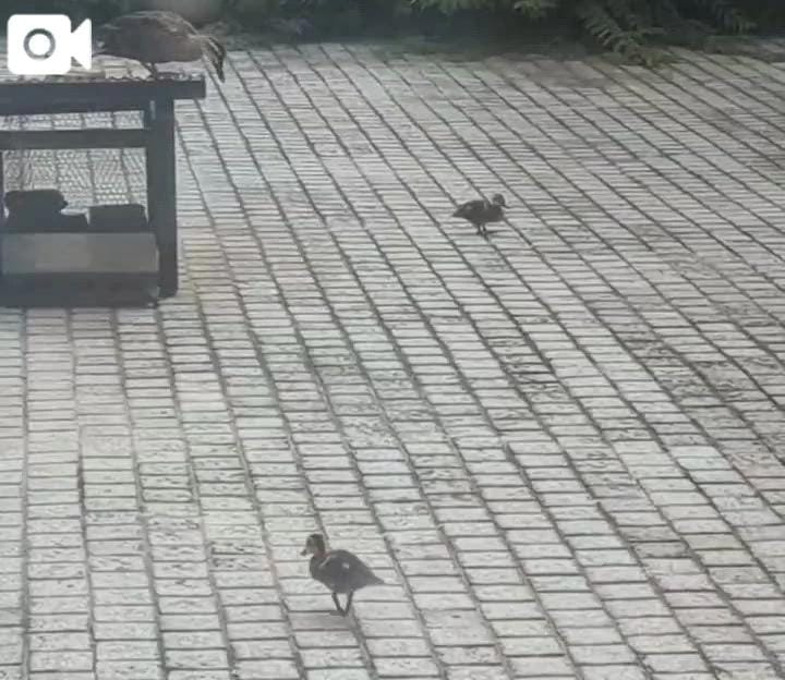 「ﾖﾁﾖﾁ」08/11(火) 06:08 | ひまりの写メ