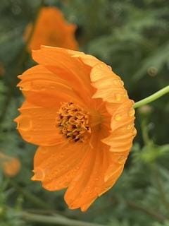 「迷惑⁉️」08/12(水) 13:48 | 淡海の写メ