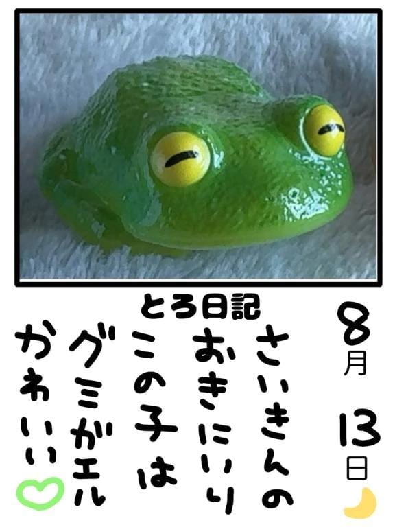 「とろ日記✏️」08/13(木) 22:44 | とんとろの写メ
