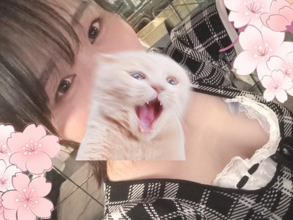 「「またね」が、なんだか嬉しくて」08/14(金) 12:25 | 榛名りん【愛嬌満点の可愛さ！】の写メ