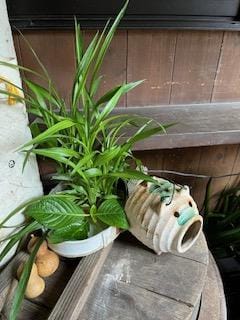 「盆明け」08/17(月) 08:00 | 淡海の写メ
