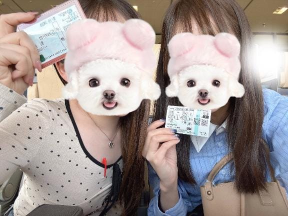 「旅日記さいご」08/17(月) 15:33 | さき★S級才色兼備×高学歴美女の写メ