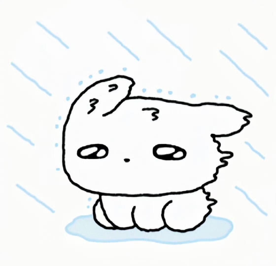 りん「(；；)(；；)」08/22(土) 17:04 | りんの写メ