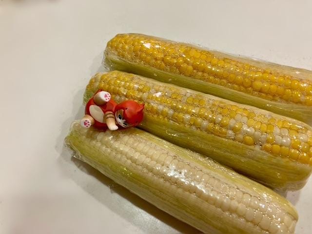 もも「ももです♪」08/24(月) 12:46 | ももの写メ