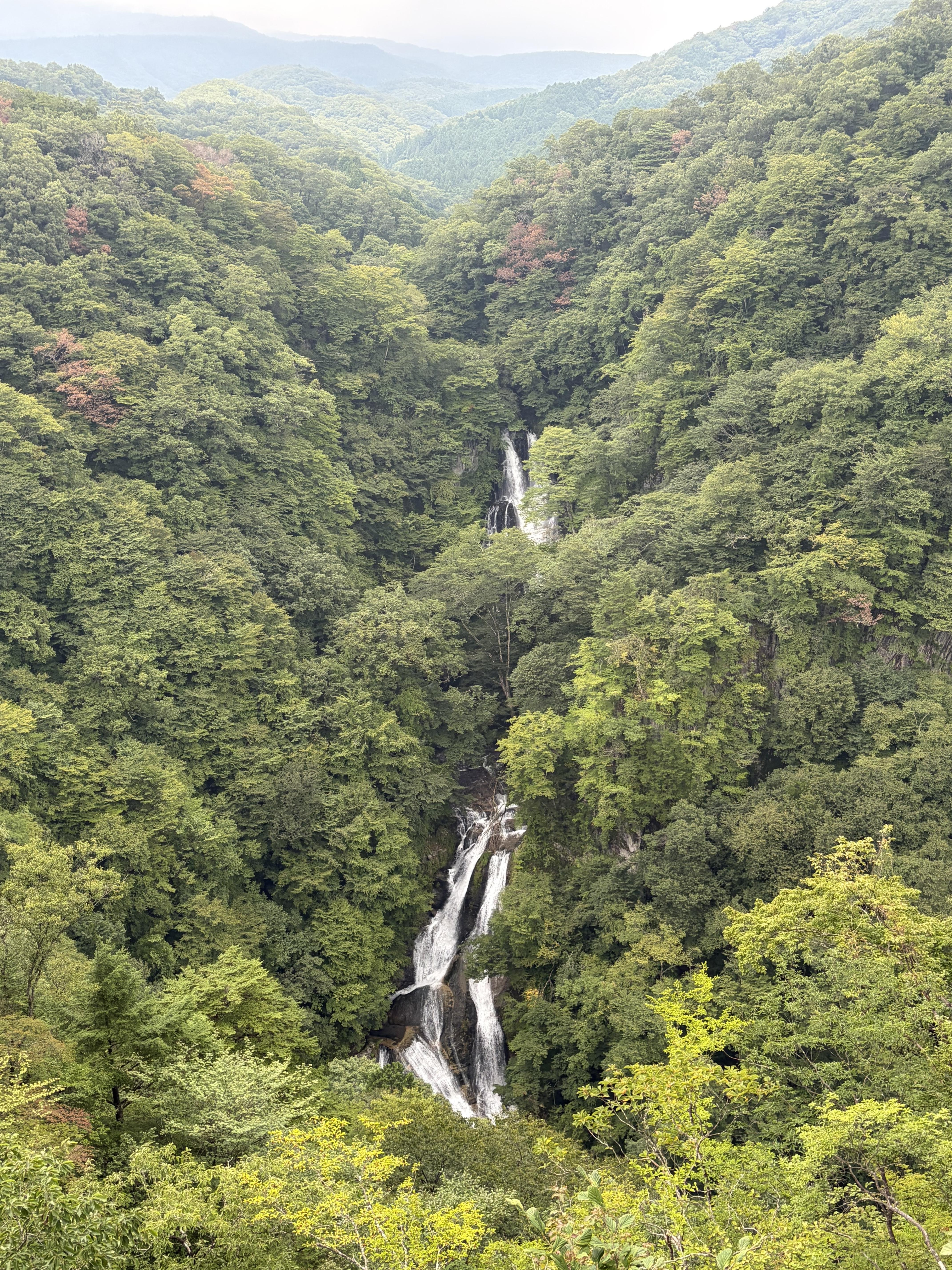 「おはよお」08/29(土) 11:14 | みりあの写メ日記