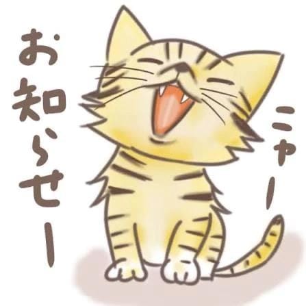 次回は❓