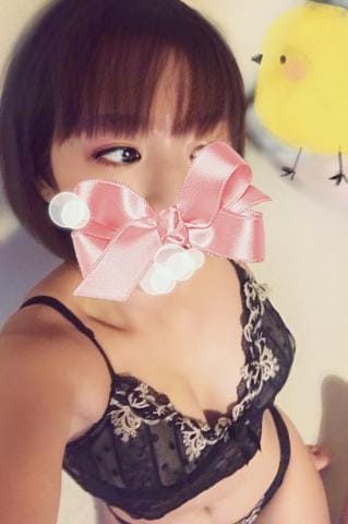 「イルカ」09/07(月) 17:33 | 芹沢の写メ