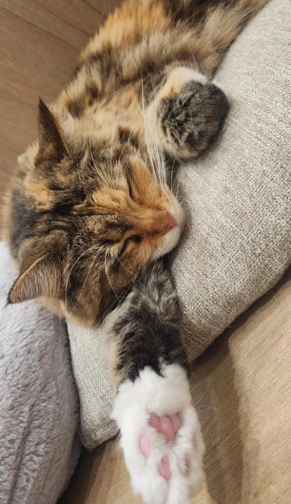 「【お礼写メ日記】」09/14(月) 23:11 | らむの写メ