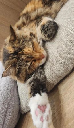 【お礼写メ日記】