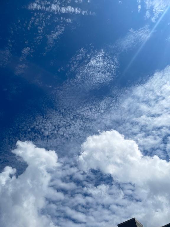 ことね【ロイヤルレディ】「⛅️」09/16(水) 13:58 | ことね【ロイヤルレディ】の写メ