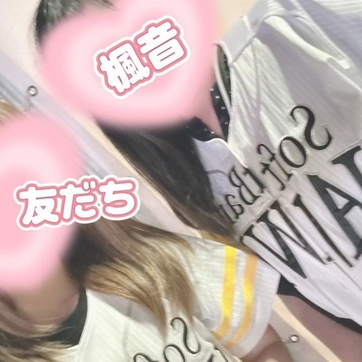 幸運が舞い込んできたよ