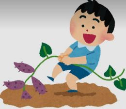 こんにちわ