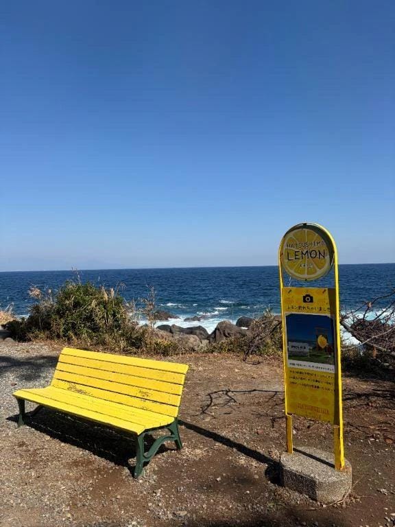 「初島」10/11(日) 23:42 | 新庄の写メ