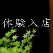 「【必見】超期待の新人・体験入店のキャストが急増中です！！」12/18(水) 22:00 | 赤坂Ｌ【エル】のお得なニュース