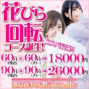 「【花びら2回転コース誕生】快感倍増中！！」11/14(金) 00:00 | 激安商事の課長命令 堺東店のお得なニュース